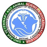 Sino-Pak college crest